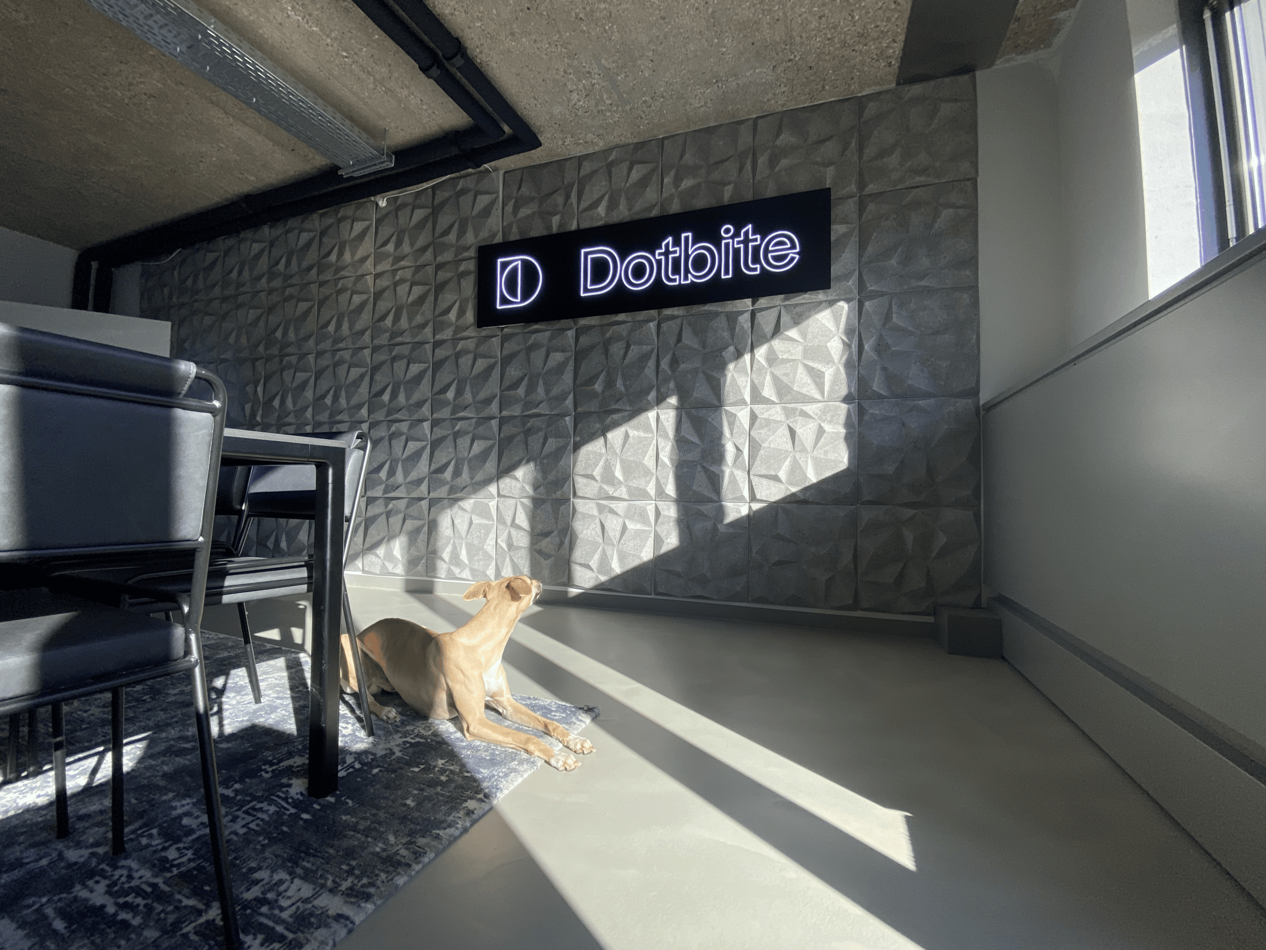 Meeting room with a dog inside