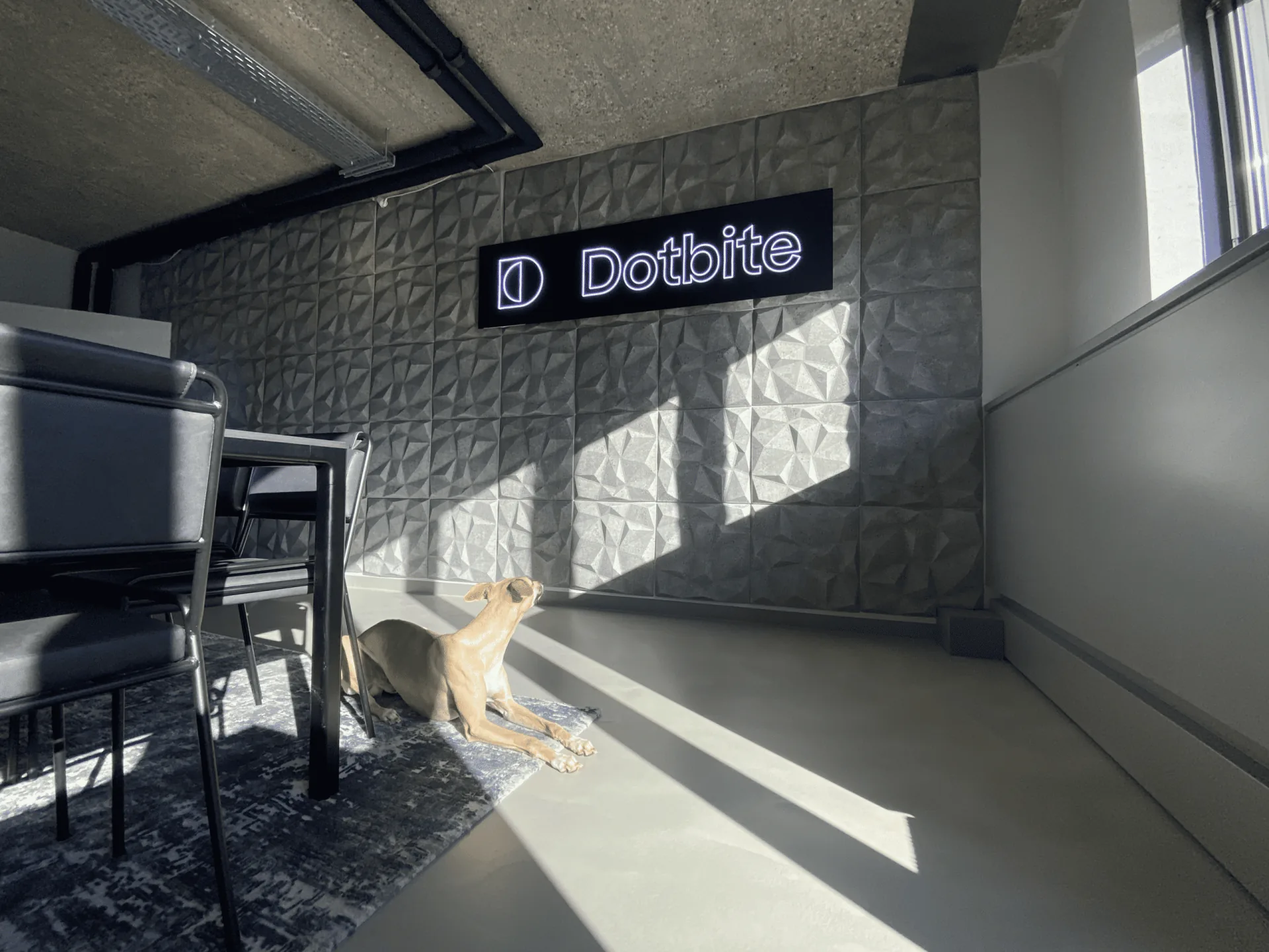 Meeting room with a dog inside