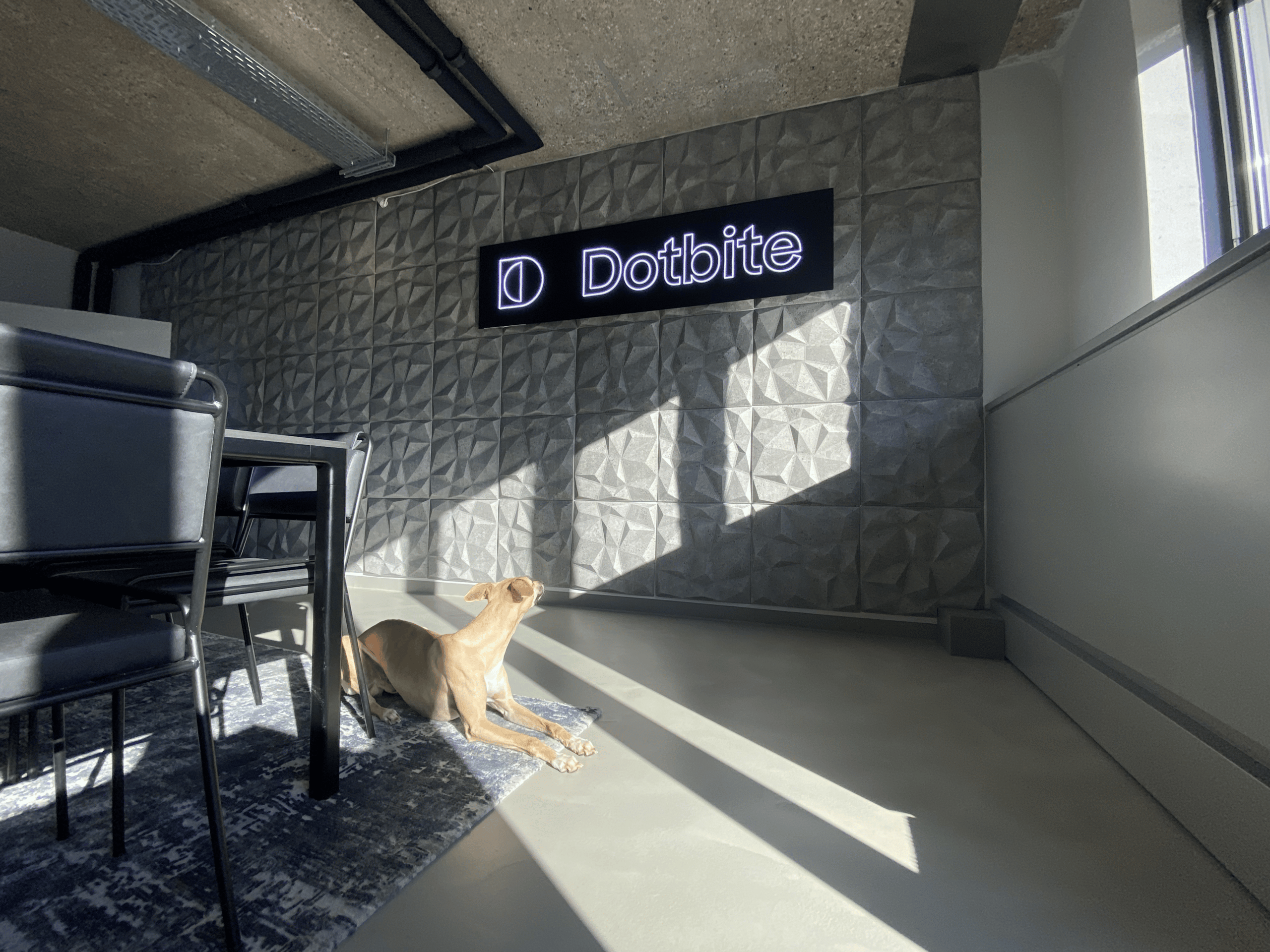 Meeting room with dog