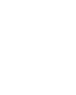 Icon of letter X